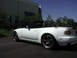 With Stock Bumpers