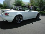 With Stock Bumpers
