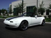 With Stock Bumpers