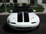 With Stock Bumpers