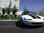 With Stock Bumpers