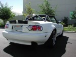 With Stock Bumpers