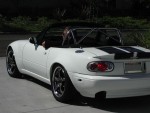 With Stock Bumpers